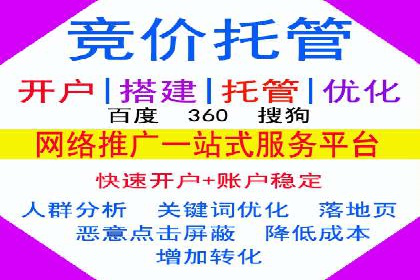 竞价排名的投放策略与效果评估案例